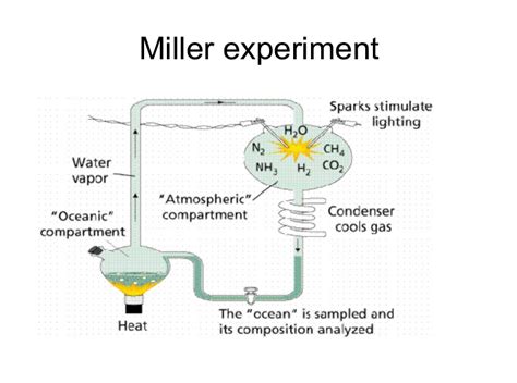 miller urey experiment results|Miller Urey Experiment: Hypothesis, Steps, Conclusions, and Limitations.